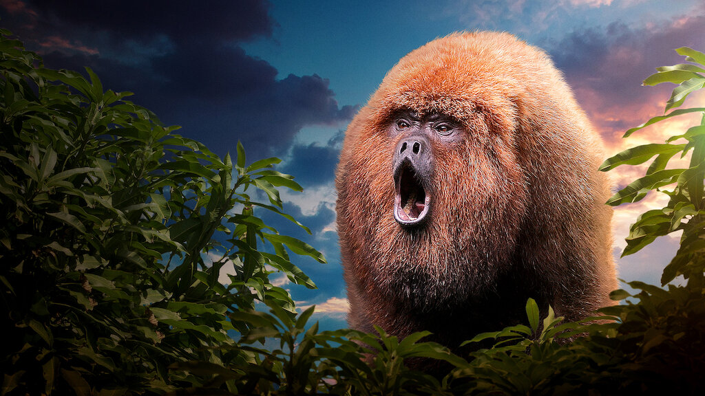 Watch 72 Dangerous Animals: Latin America | Netflix Official Site Watch 72 Dangerous Animals: Latin America | Netflix Official Site